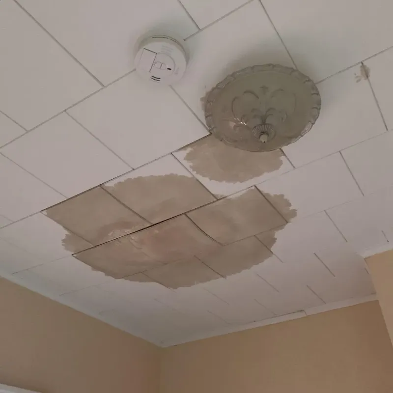Ceiling Water Damage Repair in Hugoton, KS