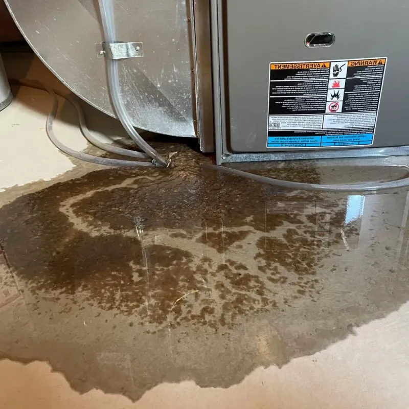 Pipe Burst and Leak Restoration in Hugoton, KS