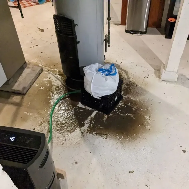 Sewage Backup Cleanup Service in Hugoton, KS